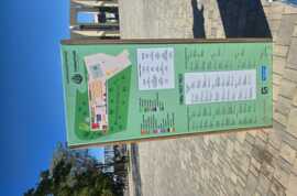 Щепа, мясо и правильные булки